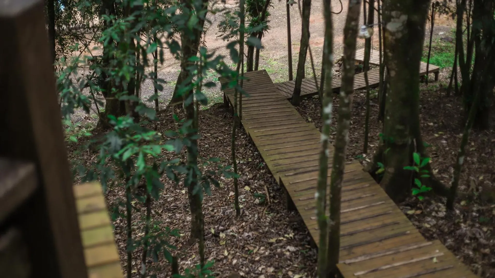 Σαλέ Chale Da Arvore, Vivenda Serra Velha, Chales De Montanha Timbe do Sul Βραζιλία