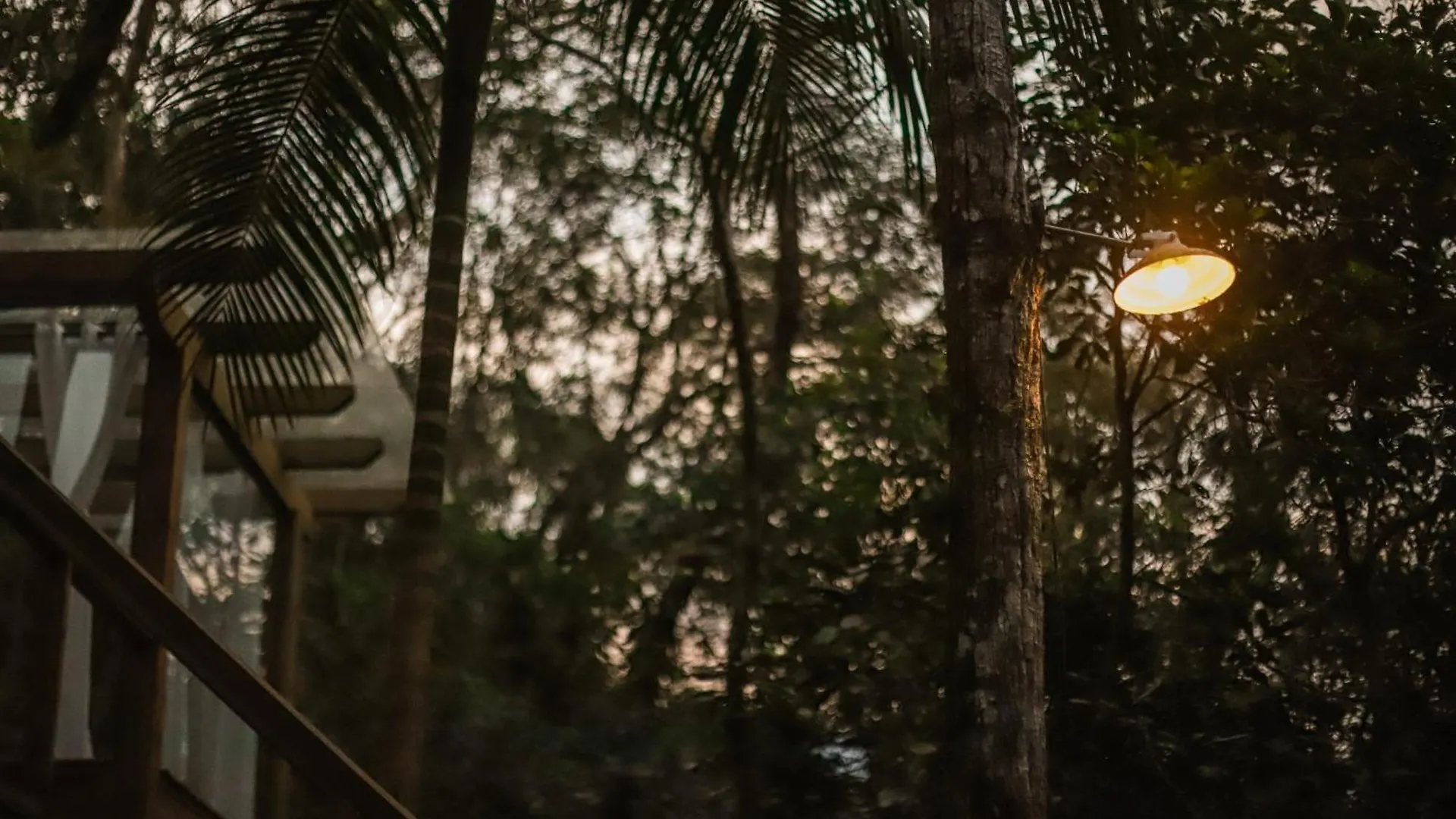 Chale Da Arvore, Vivenda Serra Velha, Chales De Montanha Timbe do Sul Σαλέ
